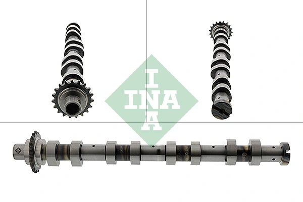 428012010 INA