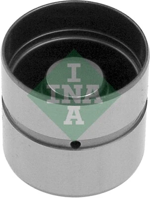 420006610 INA