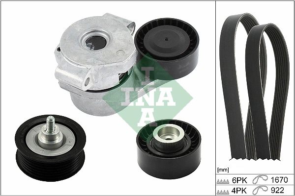 529030110 INA