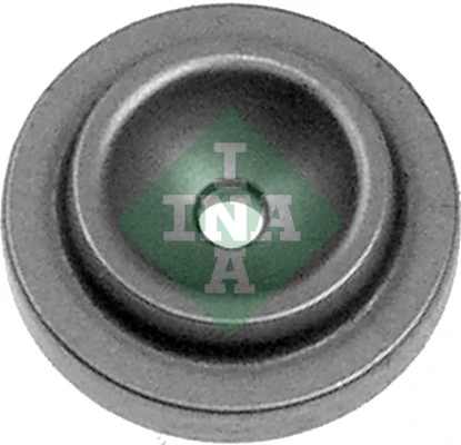 426000610 INA