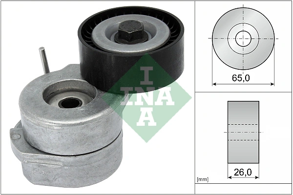 534005310 INA