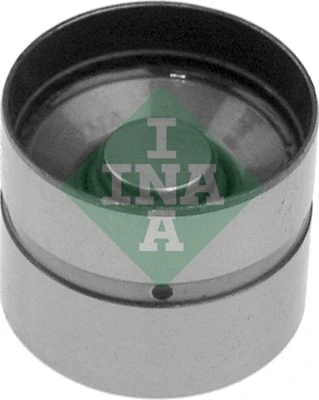 420003110 INA