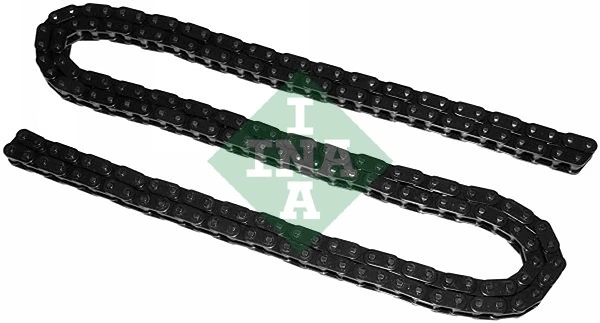 553002110 INA