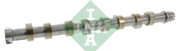 428011810 INA
