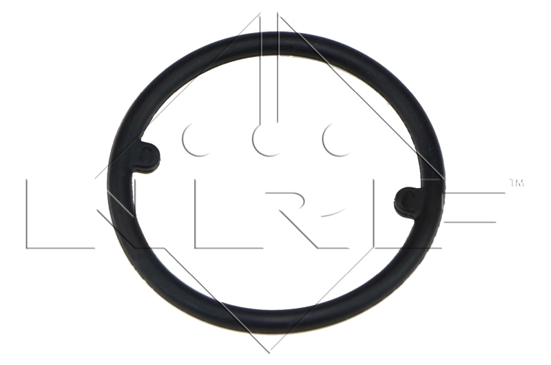 Radiador de aceite debajo del filtro 31306 NRF
