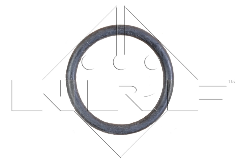 Radiador de água Peugeot 406 