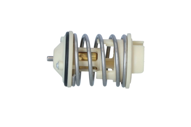 725271 NRF Termostato de agua
