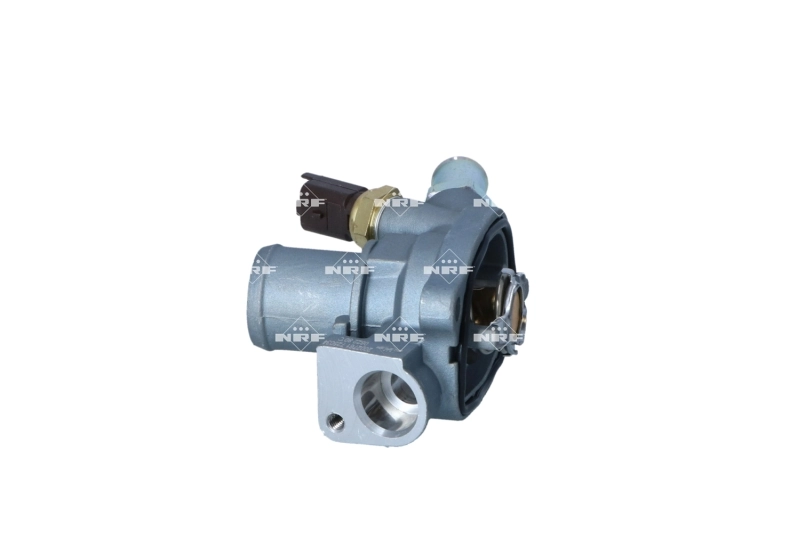 725034 NRF Termostato de agua