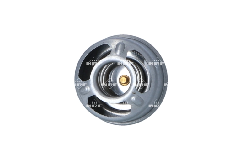 Termostato DAF 522328 precio, desde 8,08 EUR