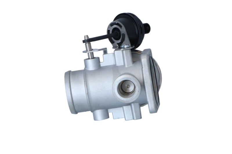 Comprar EV152 Magneti Marelli Válvula EGR