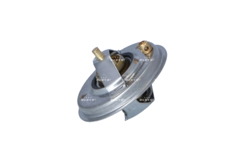 725210 NRF Termostato de agua