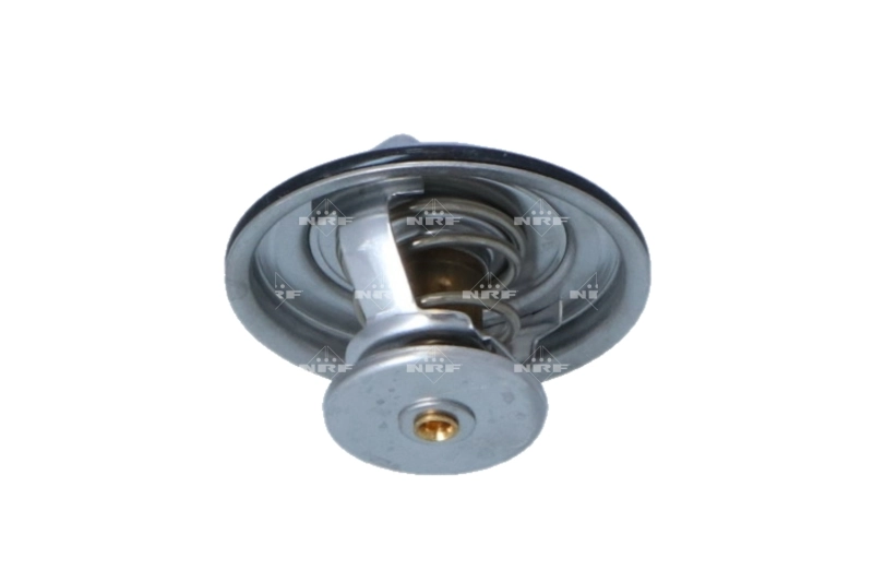 725070 NRF Termostato de agua