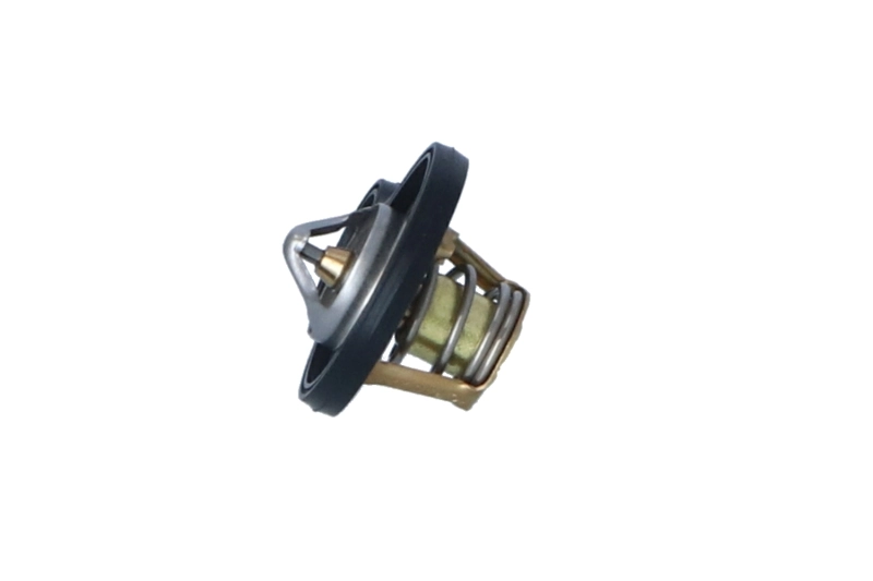 725094 NRF Termostato de agua