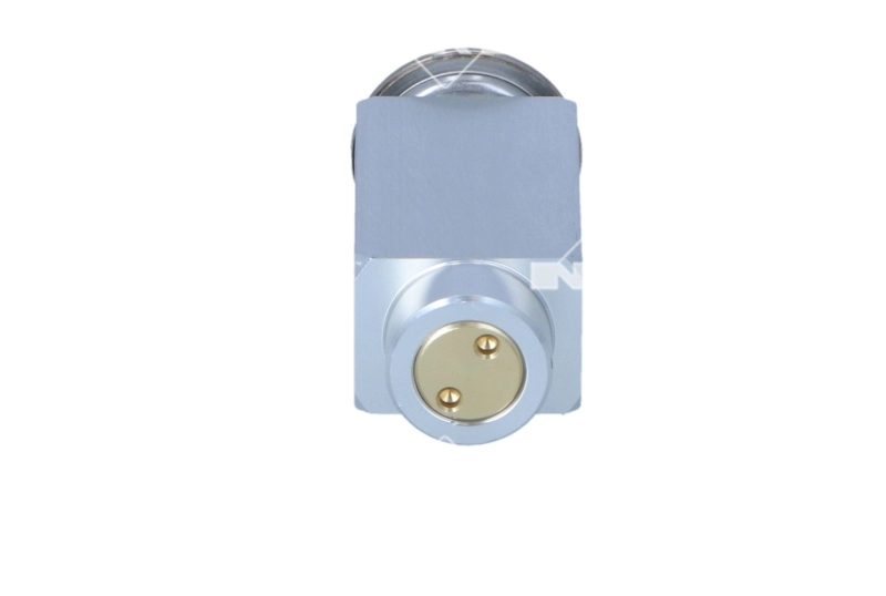 Comprar 1618539 General Motors Válvula TRV del aire acondicionado