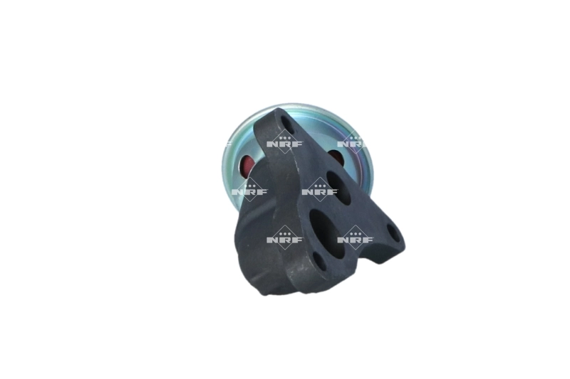 Comprar 48638 NRF Válvula EGR
