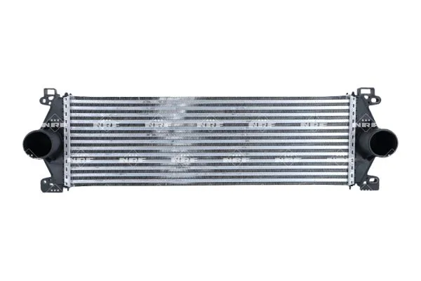 309086 NRF