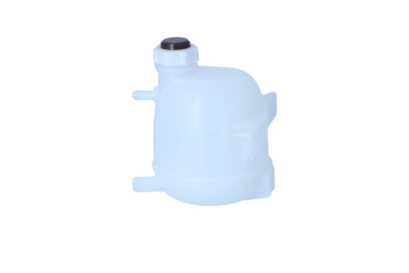  Vaso de expansión Renault LOGAN 1