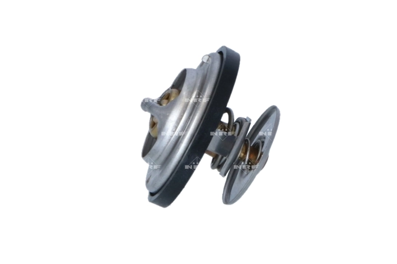  Termostato MAN TGX 1