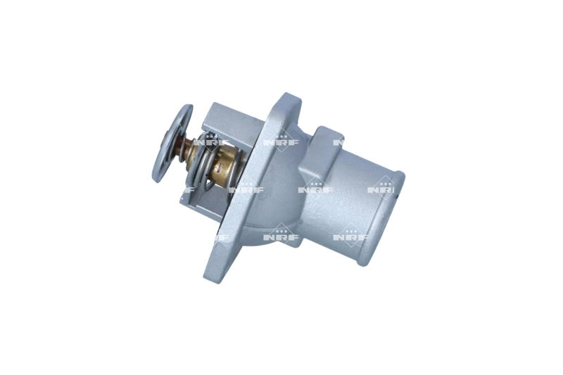 725296 NRF Termostato de agua