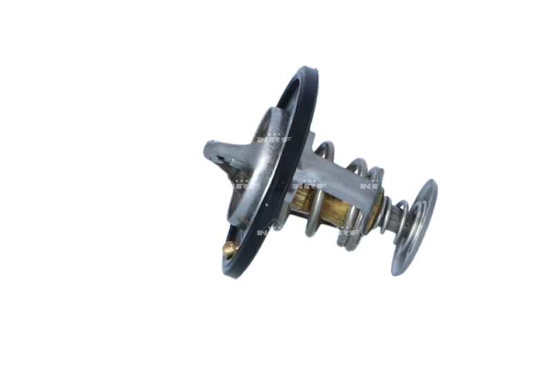 Termostato General Motors 93180077 precio, desde 15,64 EUR