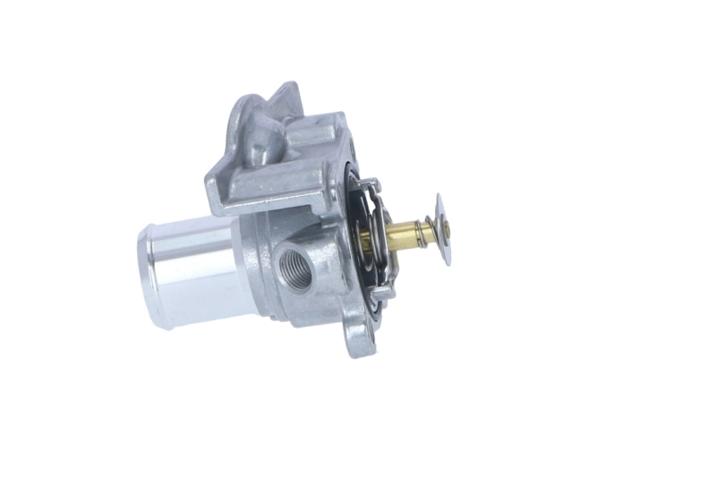725079 NRF Termostato de agua