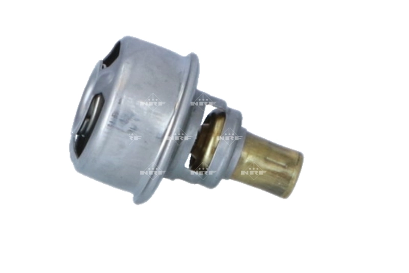 725007 NRF Termostato de agua