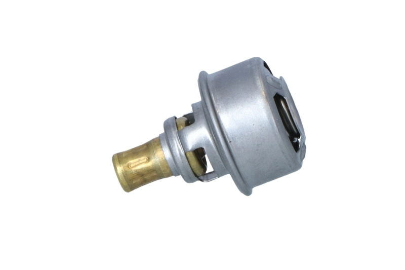 725254 NRF Termostato de agua
