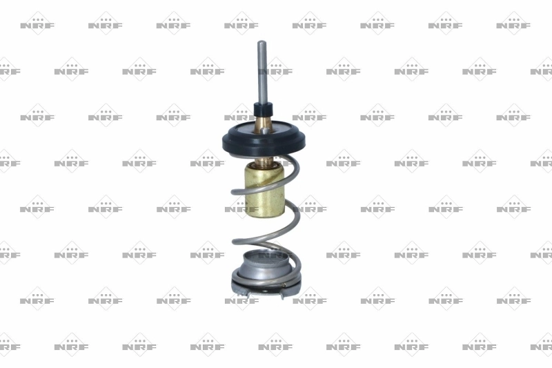 725093 NRF Termostato de agua