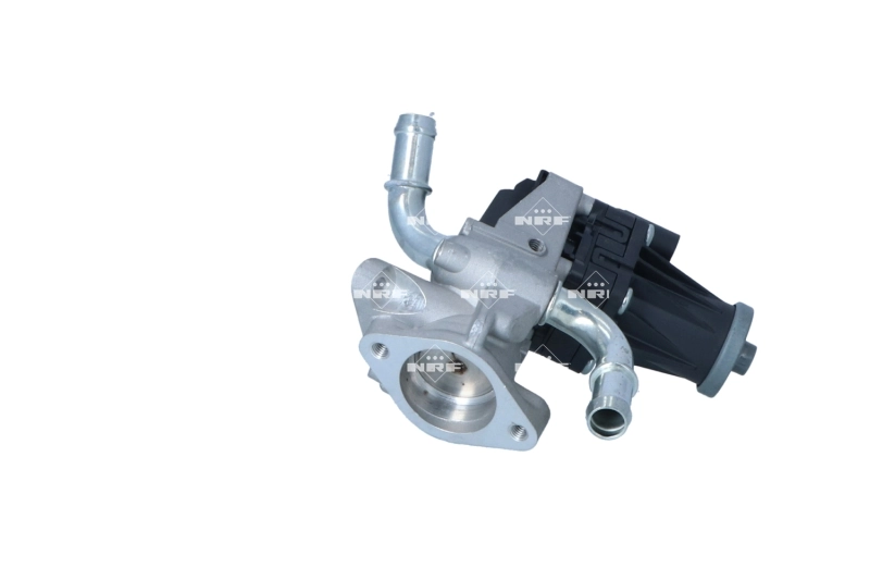 Comprar 48641 NRF Válvula EGR