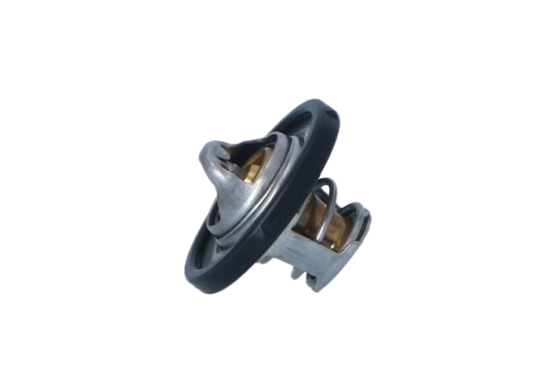 725159 NRF Termostato de agua