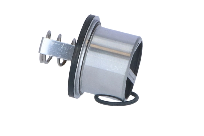 Comprar 5010553100 Renault (RVI) Termostato