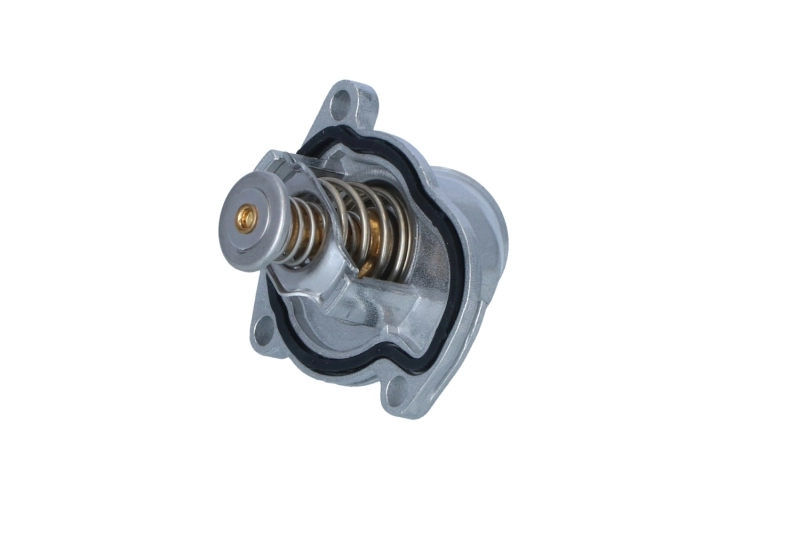 725144 NRF Termostato de agua