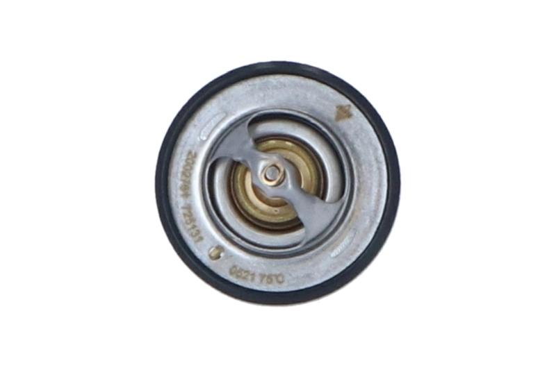 725131 NRF