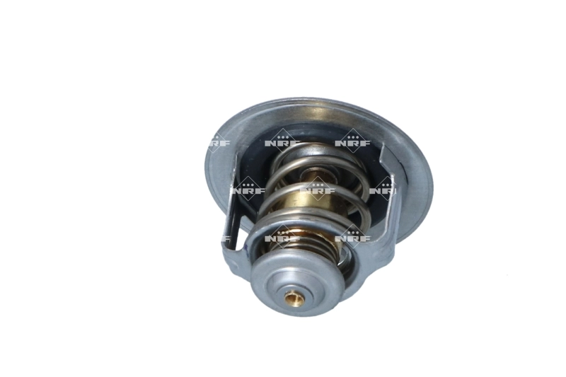 725167 NRF Termostato de agua