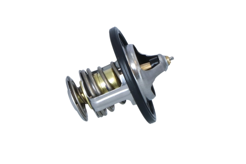 725251 NRF Termostato de agua