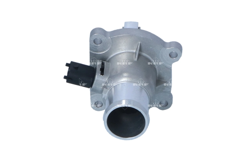 725033 NRF Termostato de agua