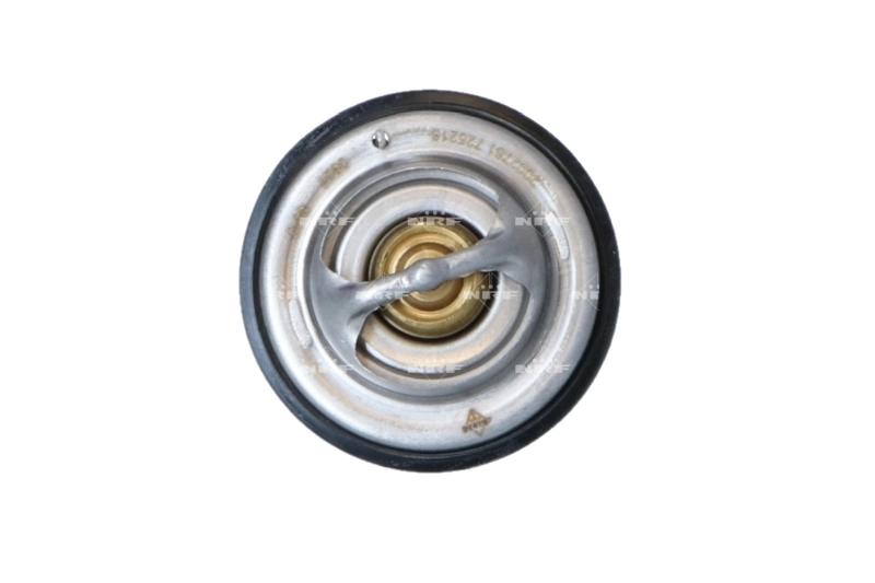 Comprar Termostato MAN TGX   a bajo precio
