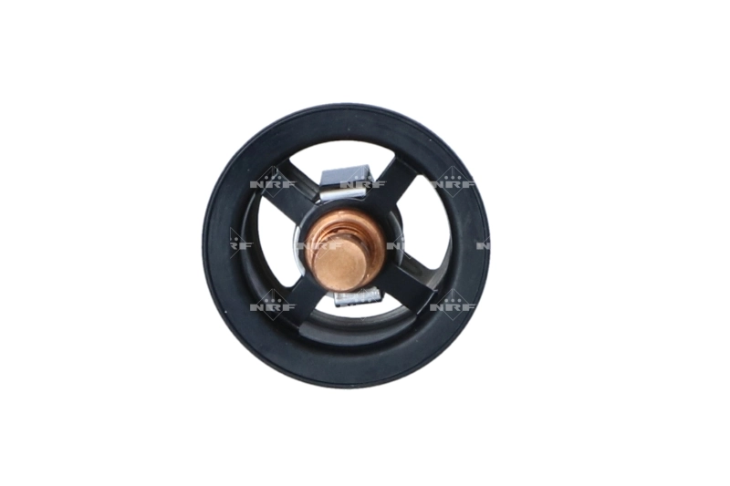 Termostato 7403839110 Renault (RVI)