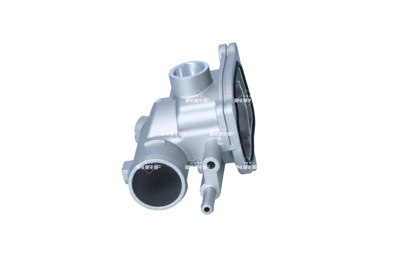 725283 NRF Termostato de agua