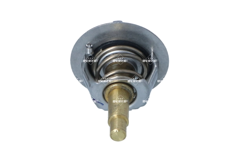725282 NRF Termostato de agua