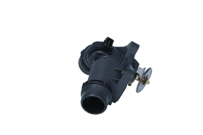 725006 NRF Termostato de agua