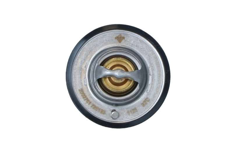 Termostato 212006N210 Renault (RVI)