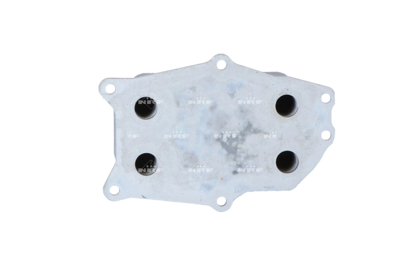 Radiador de aceite NRF 31825 precio, desde 57,97 EUR