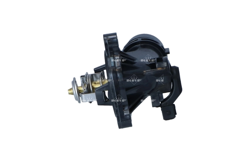 725226 NRF Termostato de agua