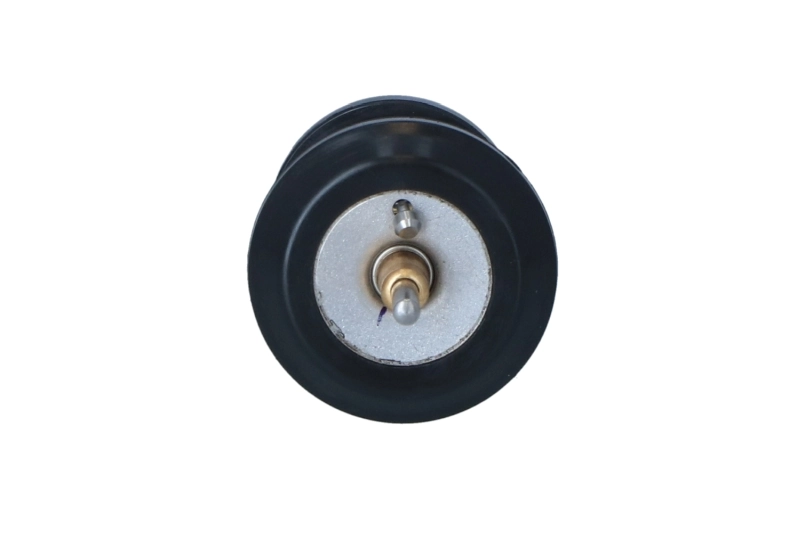 Comprar Termostato Audi A8  4H2, 4H8, 4HC, 4HL a bajo precio
