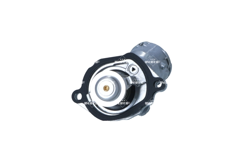 Termostato refrigerante para Mercedes S  (C216)