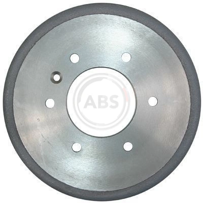 2441S ABS