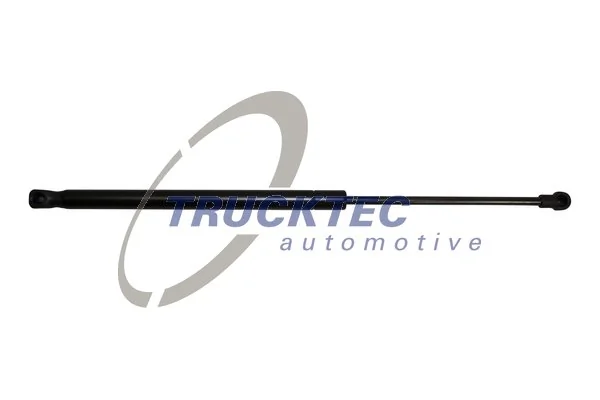 Amortiguador de porton BMW 1  (2011-2019)