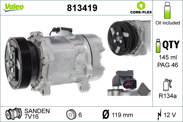 813419 VALEO
