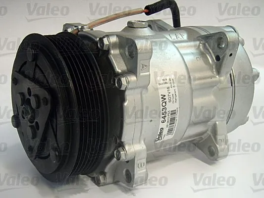 813810 VALEO